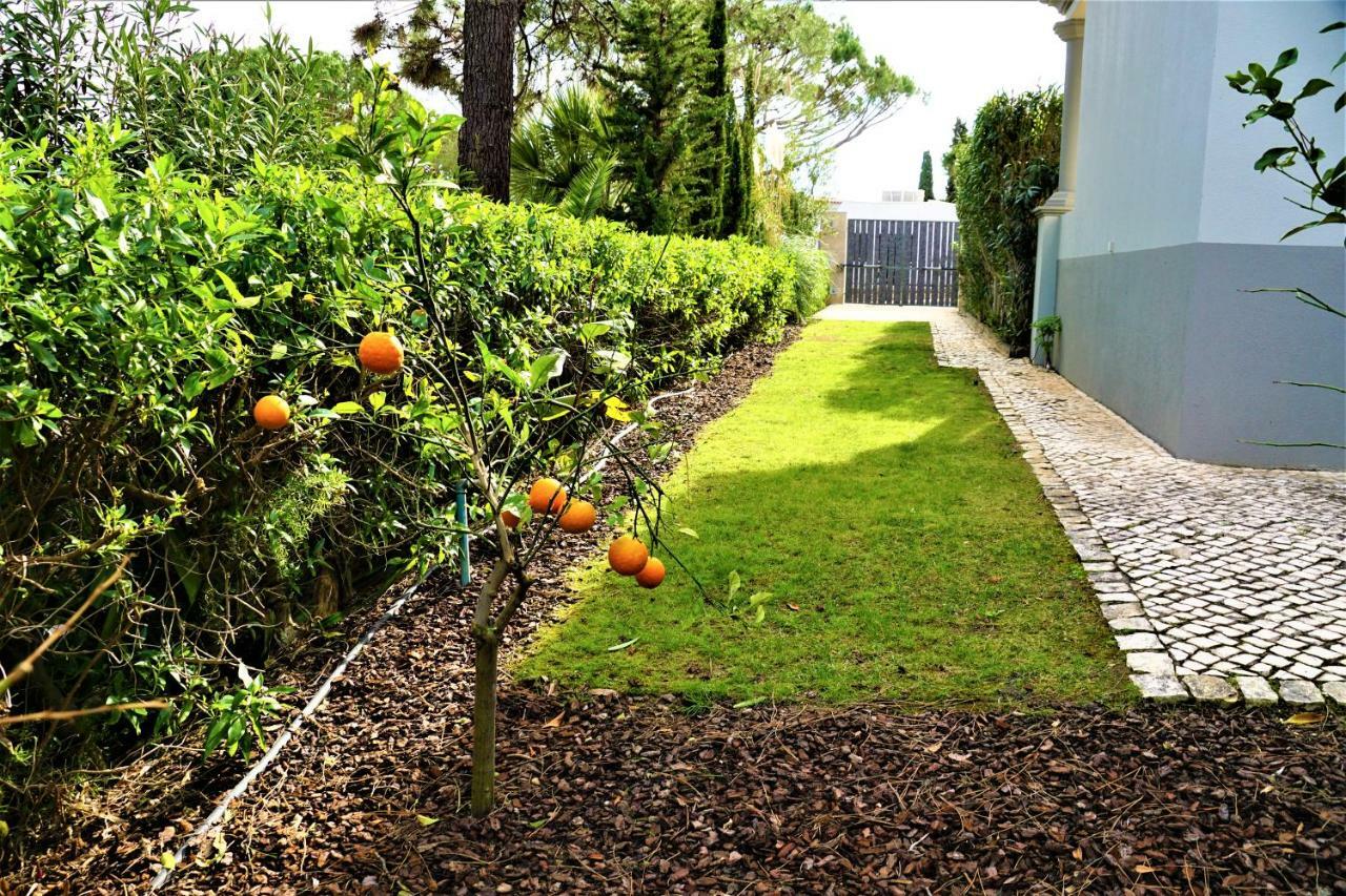 Charming Exceptional Golf Villa In Algarve Φάρο Εξωτερικό φωτογραφία